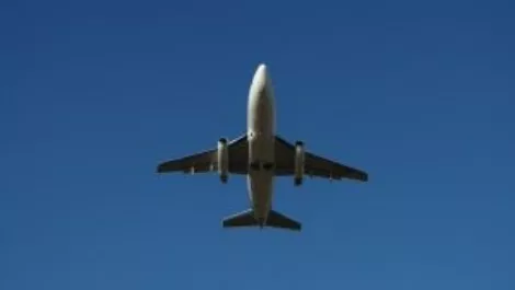 Wellington mayoral candidate to talk tech in Europe