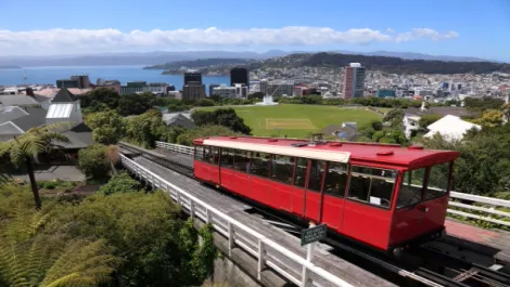 Wellington Chamber welcomes ICT grad school