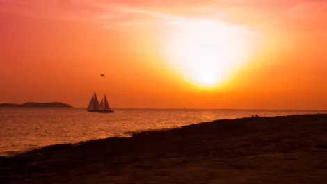 Multi billion-dollar company on the horizon for Orion?