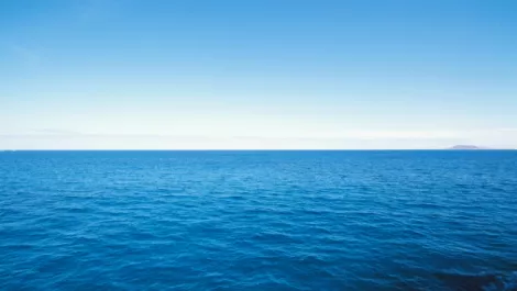 Is illegal Dotcom data held overseas?