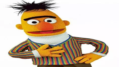 Bert comes 'out' on twitter