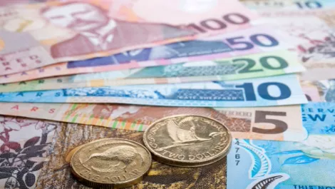 Are Govt's under pressure to cut IT program budgets?