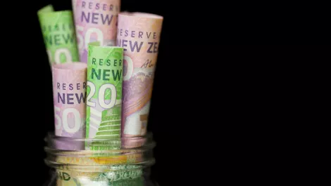 NZ investors don't get cloud-based model