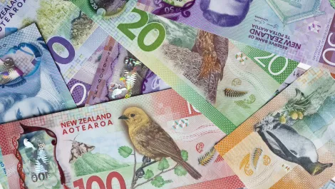 Xero opts for re-investment