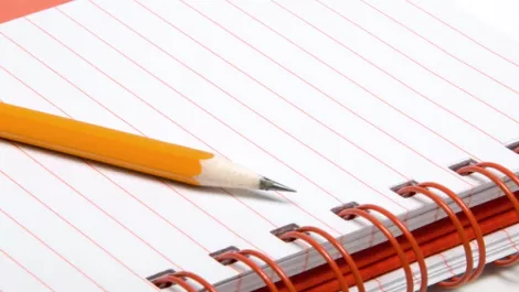 User Stories: Facts and Myths