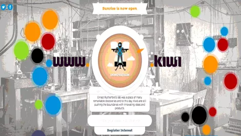 Dot Kiwi: Changing the face of the Internet...