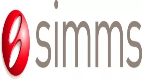 Simms appoints Huawei consultant