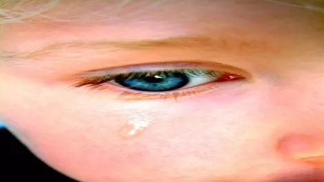 Another net porn distributor jailed