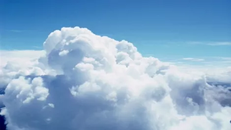 Payroll in the cloud