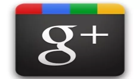 SEO fears force businesses onto Google+