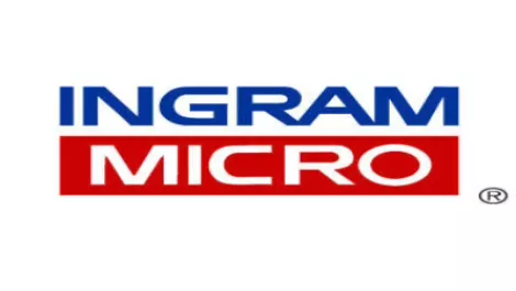 Ingram website still 'requires work'