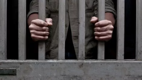 Million-dollar IT fraudster handed jail sentence