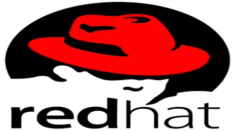 Redhat logo big21