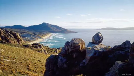 Fibre Watch: Slow, expensive RBI