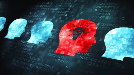 Spotlight searches for New Zealand IT talent