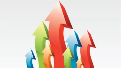 Westcon NZ financials hold up in changing market