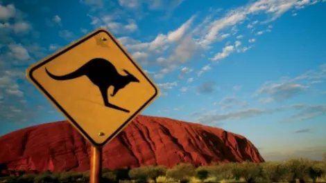 Good news for Kiwi businesses: Microsoft brings Office 365 and CRM to Aussie data centres