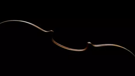 Violin Memory aims for sweet music with Sapply