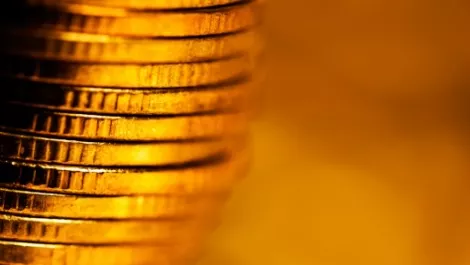 Synnex NZ revenue continues to soar