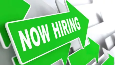 Growing demand for IT specialists in NZ