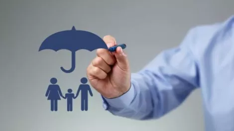 Trade Me gets into the online insurance biz