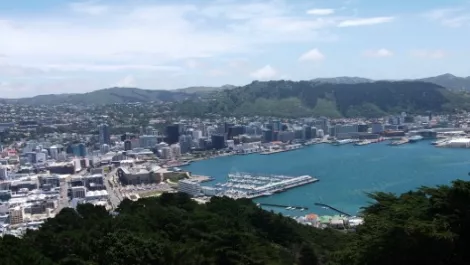 Wellington councils join forces to share ICT infrastructure