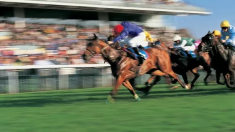 PwC offers up Melbourne Cup analytics
