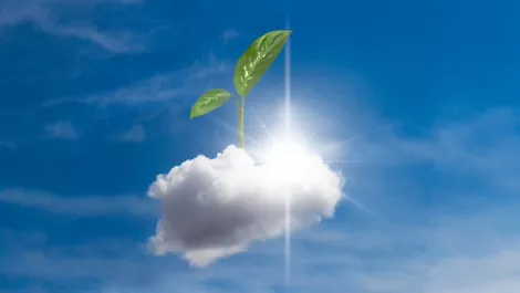 EXCLUSIVE: Synnex NZ gears up for cloud and further local expansion