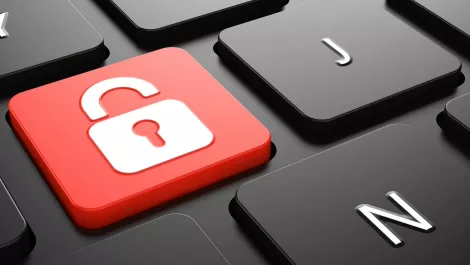 New cyber insurance website launched for Kiwi SMBs