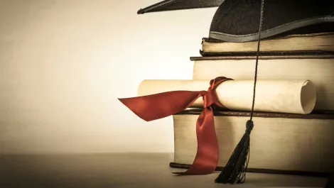 New Zealand IT jobs: do you need a qualification?