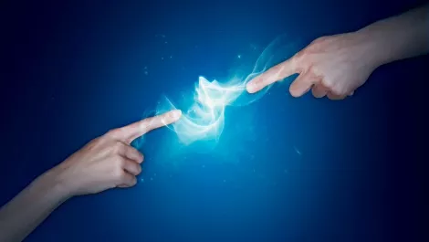 Its good news for nzs internet hawaiki announces cable plans