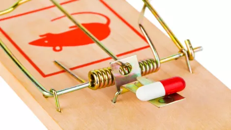 Akamai discovers new DDoS threats, issues medium risk level