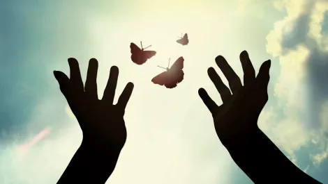 Adobe reveals sweeping innovations to Creative Cloud & Marketing Cloud