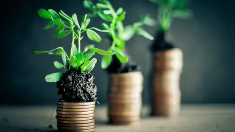 Exclusive Group revenue soars with six month results equal to full 2014