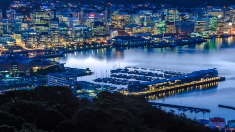 Digital disruption: Exploring Wellington's fast-growing digital industry