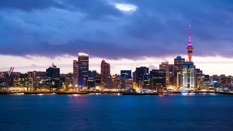 Auckland a hotspot for start-ups as 'tech sector is booming'