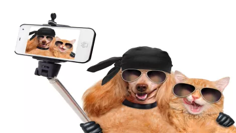 Snapchat users take care - security predictions for 2017