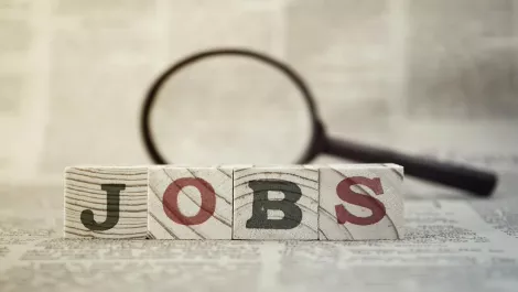 IT job ads down, report finds