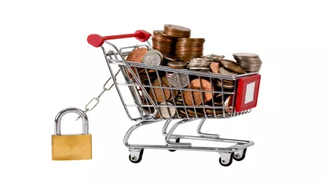 Tech firm wants Christchurch grads