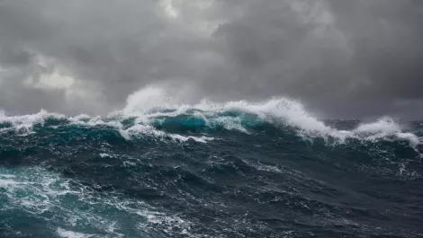 SubCom wins agreement to monitor 51,000 km of south pacific cable