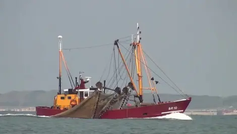 Failed fisheries management costing the country