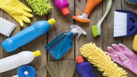 Disrupting the industry: Kiwi startup raises $1 million for digital expansion