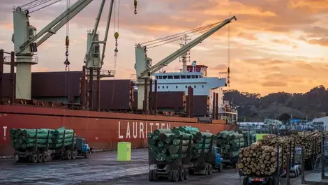 Getting Eastland Port shipshape for the future