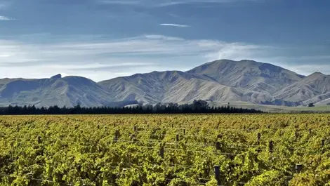 Wairarapa’s fate in its own hands