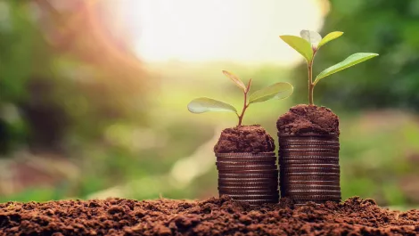 Salesforce Ventures injects funding into Aussie consulting partner