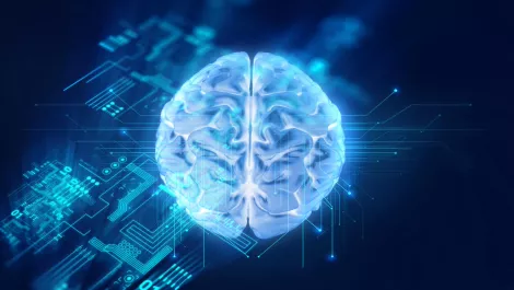 Thinkstockphotos 648459478