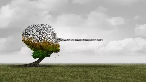 Digital shadows looks at fake news, disinformation and how they affect business reputations