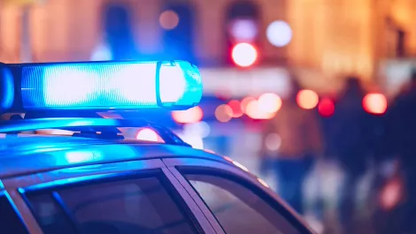 Sydneysiders willing to use tech for reporting non-urgent crimes