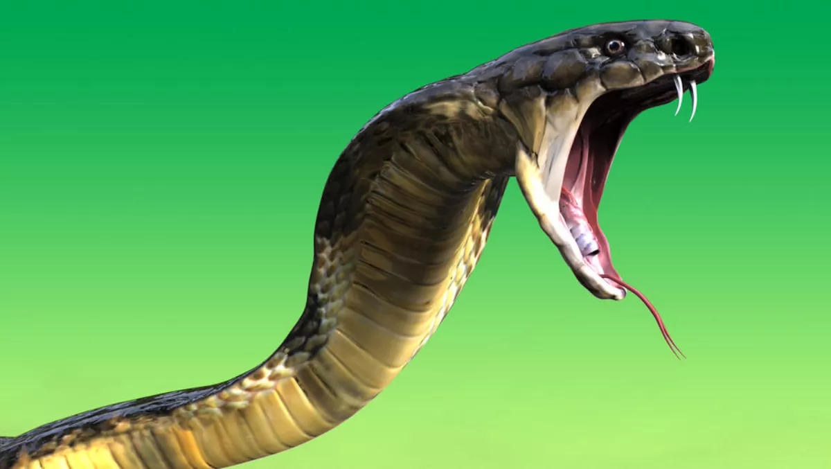 United States hot on heels of North Korea's Hidden Cobra malware
