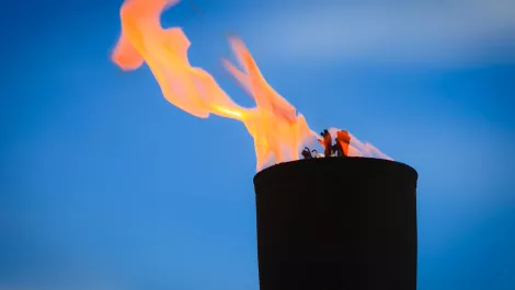 Domain fraud rife during PyeongChang Winter Olympics